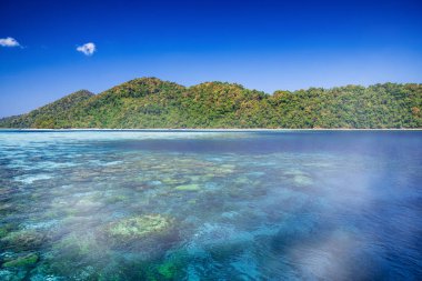 Mu Ko Surin Milli Parkı. İnanılmaz berrak Tayland suları