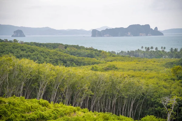 Vue panoramique sur l'île depuis le belvédère de Rice Paddy à Phuket — Photo