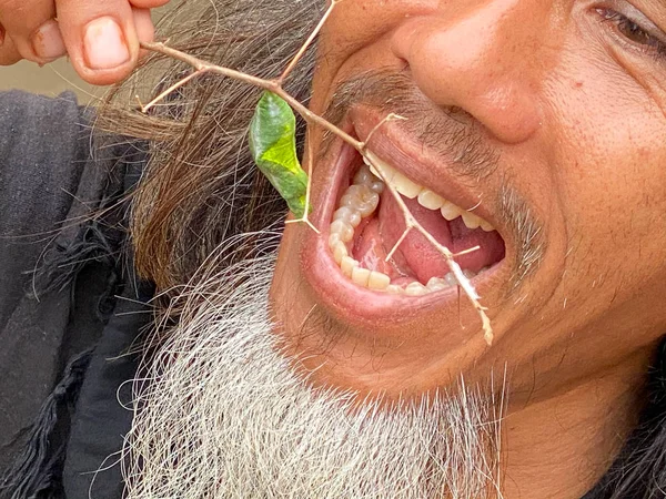 Ταϊλάνδη Άνθρωπος Μουστάκι Τρώει Βότανα — Φωτογραφία Αρχείου