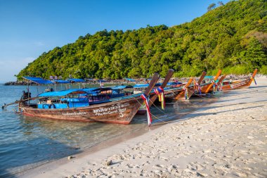 Phi Phi Adası, Tayland - 23 Aralık 2019: