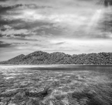 Mu Ko Surin Milli Parkı. İnanılmaz berrak Tayland suları