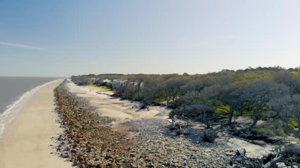 Imágenes Escénicas Hermosa Orilla Del Mar Día Soleado — Vídeos de Stock