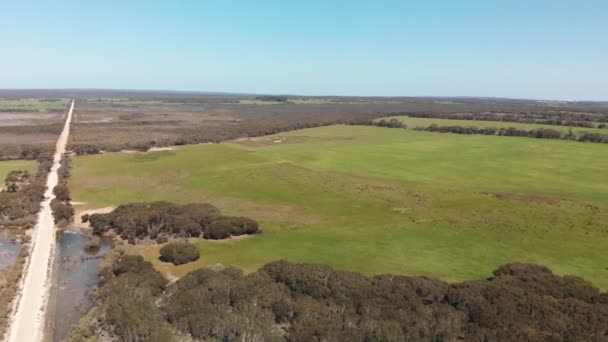 Kangaroo Island Swamps Unpaved Road Aerial View South Australia — Stock Video