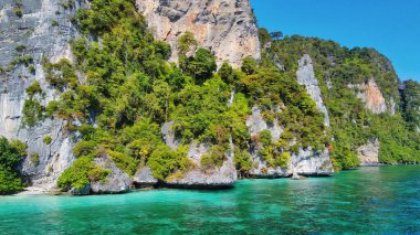 Mercan resifleri ve kayaların üzerindeki ağaçlarla inanılmaz sahil şeridi.