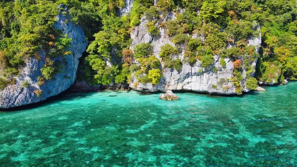 Belle côte avec récifs coralliens et arbres surplombant les rochers — Photo
