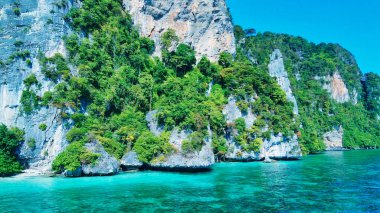 Mercan resifleri ve kayaların üzerindeki ağaçlarla inanılmaz sahil şeridi.