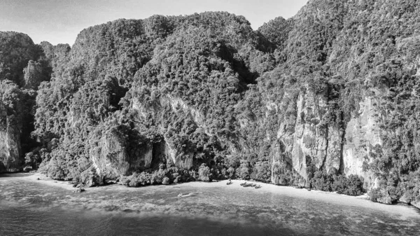 Εκπληκτική ακτογραμμή με κοραλλιογενή ύφαλο και δέντρα πάνω από βράχια — Φωτογραφία Αρχείου