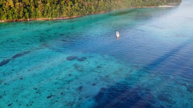Renkli mercan resiflerinin yukarıdan görünüşü