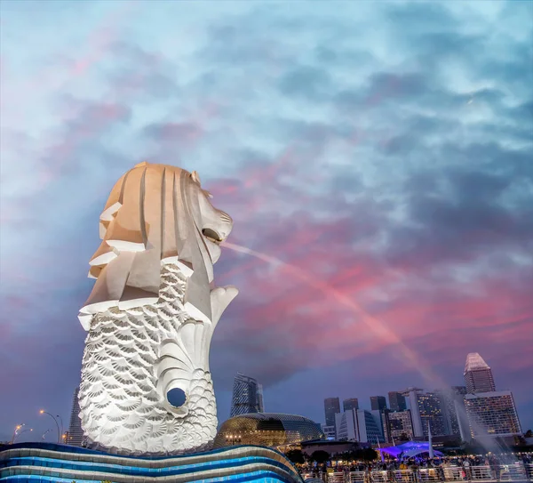 해질 녘에 하늘을 나는 싱가포르 상인들 과 도시 — 스톡 사진