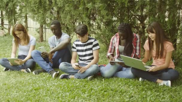 Filmaufnahmen Von Schülern Die Der High School Auf Gras Lernen — Stockvideo