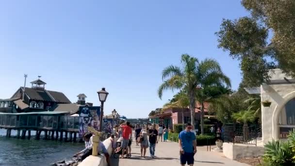 Aufnahmen Von Menschenmassen San Diego Village — Stockvideo