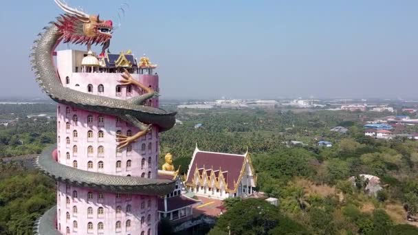 Vista Aérea Wat Samphran Dragon Temple Distrito Sam Phran Província — Vídeo de Stock