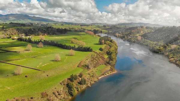 뉴질랜드 항공. 초원 과강 — 스톡 사진
