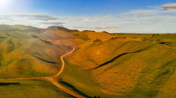 ニュージーランド｜美しい田園地帯と丘の空の景色 — ストック写真
