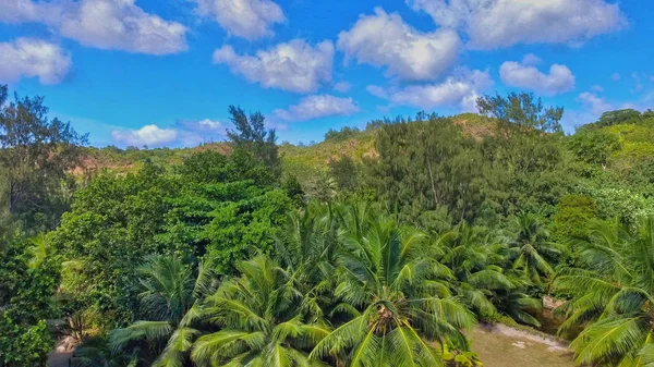 Praslin, Seychellen. Erstaunliche Luftaufnahme der schönen tr — Stockfoto