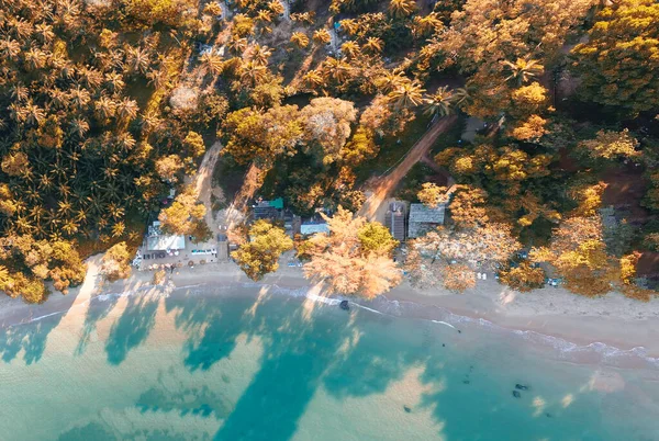 Лес и море, удивительный вид с воздуха с дрона. Праздник — стоковое фото
