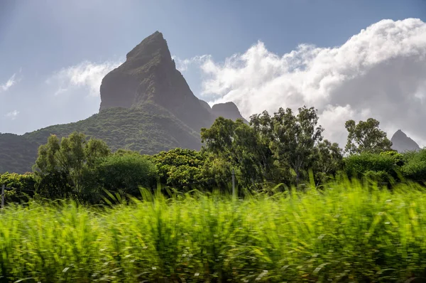 Bellissima Campagna Montagna Mauritius — Foto Stock