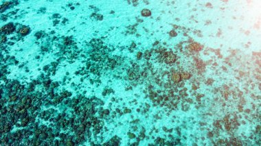 Su renklerinin altındaki mercan resiflerinin inanılmaz hava manzarası..