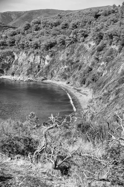 Beautiful Coastline Elba Island Italy — Stock Photo, Image