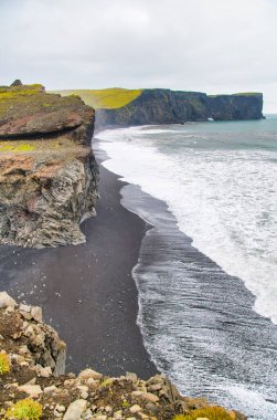 Reynisfjara Black Beach, İzlanda. Yaz mevsiminde kayalar ve bitkiler.