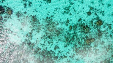 Su renklerinin altındaki mercan resiflerinin inanılmaz hava manzarası..