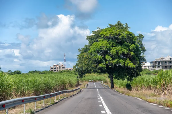 Vägen Över Mauritius Landskap — Stockfoto