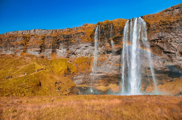 Wodospad Seljalandsfoss Sezonie Letnim Islandia Góry Błękitne Niebo — Zdjęcie stockowe