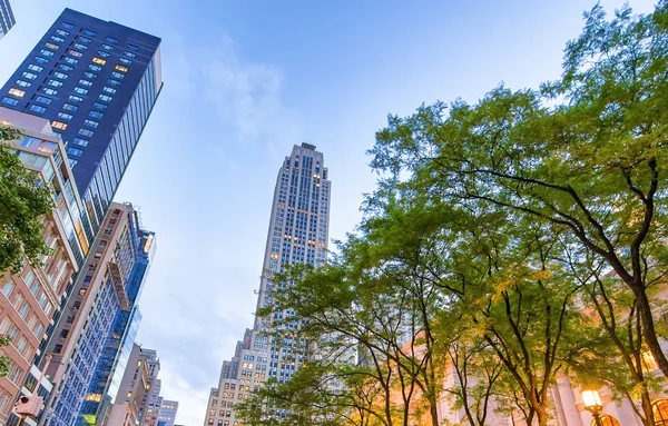 Edifícios Quinta Avenida Longo Biblioteca Pública Manhattan Pôr Sol Nova — Fotografia de Stock