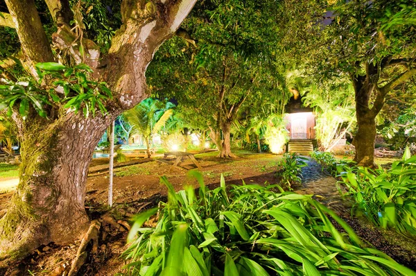 Hermoso Jardín Con Árboles Césped Por Noche — Foto de Stock