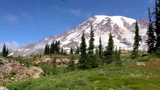 Hermoso Paisaje Montaña Las Montañas — Vídeo de stock