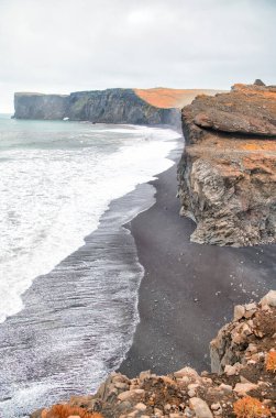 Reynisfjara Black Beach, İzlanda. Sonbahar mevsiminde kayalar ve bitkiler.