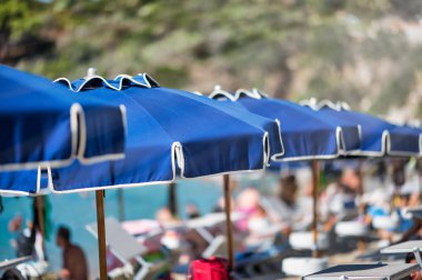 Yaz mevsiminde plajda dağılmış turistlerle dolu sıra sıra plaj şemsiyesi..