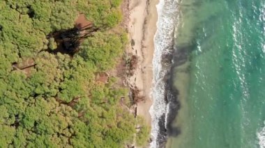 Güneşli bir günde güzel deniz kıyısının manzaralı görüntüleri.