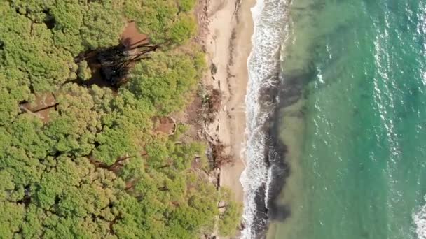 晴れた日の美しい海岸の風光明媚な空撮 — ストック動画
