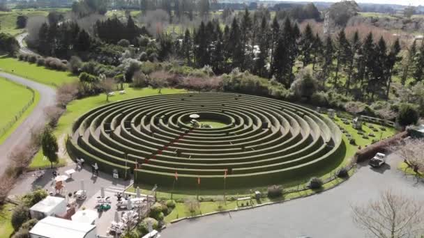 Riprese Panoramiche Labirinto Rotondo Nel Parco Naturale — Video Stock