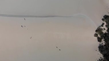 Kanguru Adası bataklıkları ve asfaltsız yol, hava manzarası, Güney Avustralya