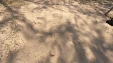 Yavaş çekimde salıncaktaki genç kız, birinci şahıs görüntüsü..