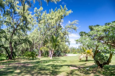 Mauritius, Afrika 'nın güzel parkı.