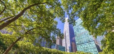 Manhattan gökdelenleri Bryant Park ağaçları tarafından çerçevelenmiş, New York City.