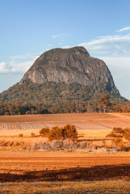 Queensland Dağları, çayırlar ve ağaç güneşli bir günde, Avustralya