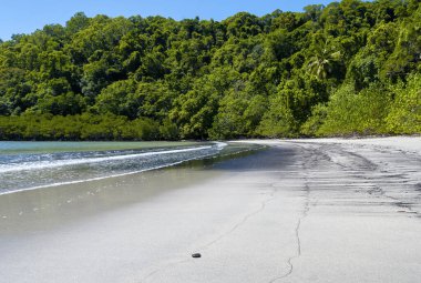 Daintree Ulusal Parkı 'nın güzel plajı, Queensland - Avustralya.