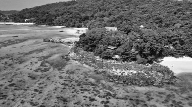 Phi Phi Don, Tayland 'daki güzel Long Beach manzarası.