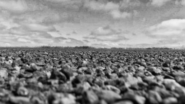 Kirli yol kaldırımı, yerden manzara.