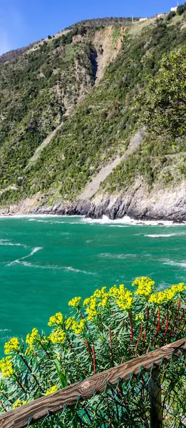 Mély Színek Tavasz Cinque Terre Tengerpart Manarola — Stock Fotó