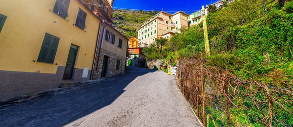 Färgglada Hem Manarola Cinque Terre Italien — Stockfoto