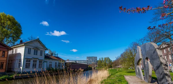 Nádherná Architektura Vegetace Amsterdamu Jaře — Stock fotografie