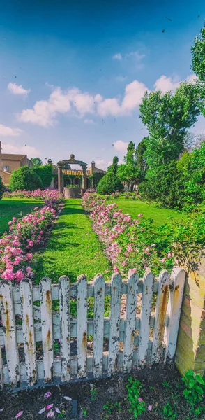 Belo Jardim Rosas Bolgheri Itália — Fotografia de Stock