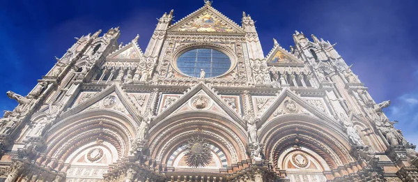 Siena Talya Katedralin Harika Manzarası Duomo — Stok fotoğraf