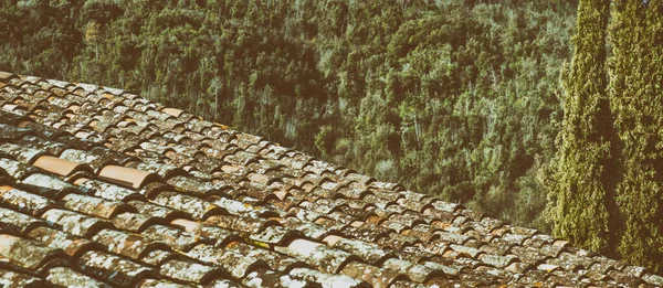 Dach Starego Domu Włochy — Zdjęcie stockowe