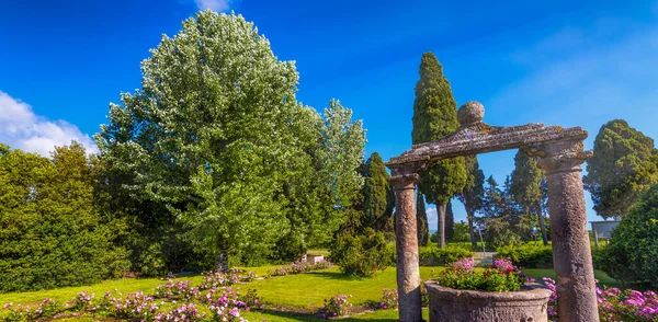 Piękny Ogród Róże Bolgheri Włochy — Zdjęcie stockowe